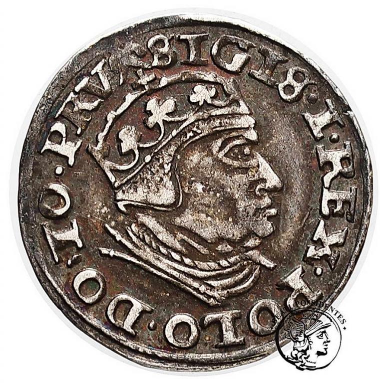 Zygmunt Stary trojak 1540 Gdańsk st. 3+