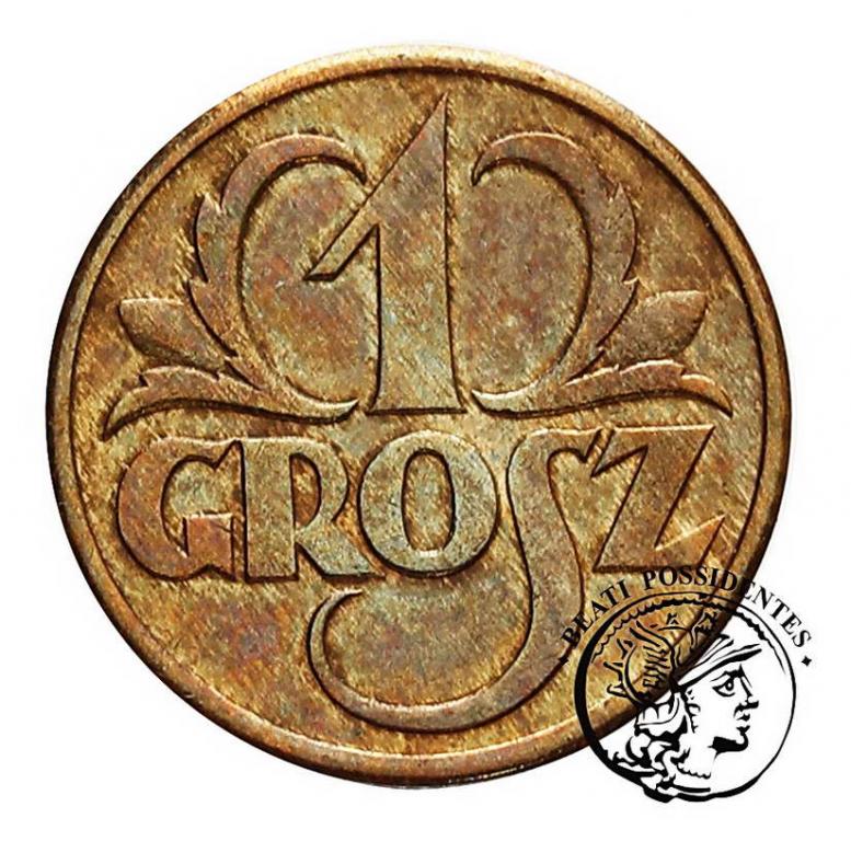 Polska II RP 1 grosz 1932 st.3