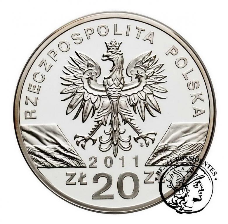 Polska III RP 20 złotych 2011 Borsuk st.L