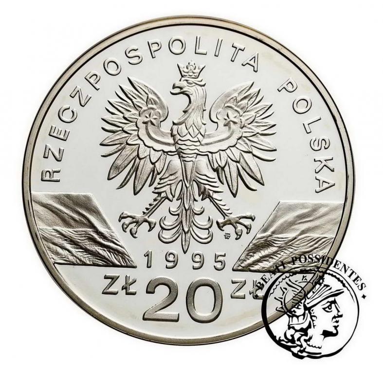 Polska III RP 20 zł 1995 Sum st.L