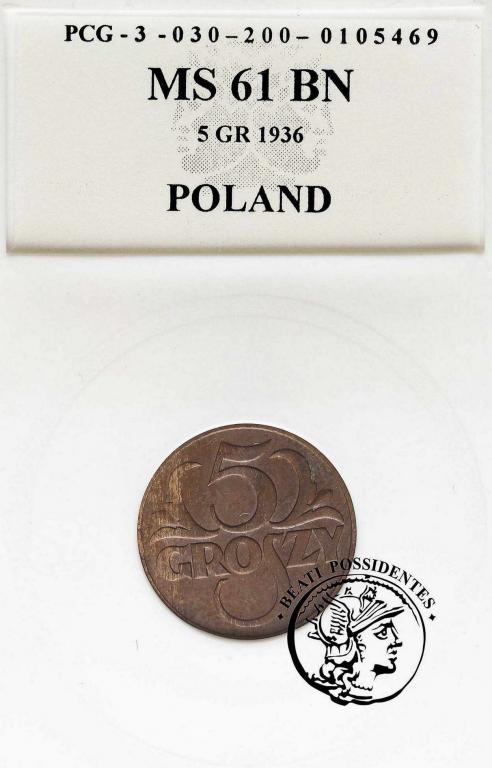 Polska II RP 5 groszy  1936 PCG MS61