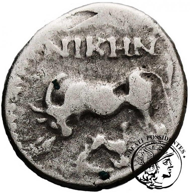 Ilyricum Apollonia drachma po 229 pne st. 4
