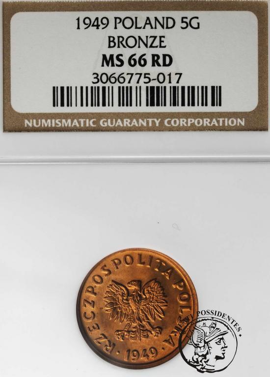 Polska PRL 5 groszy 1949 brąz NGC MS66 RD