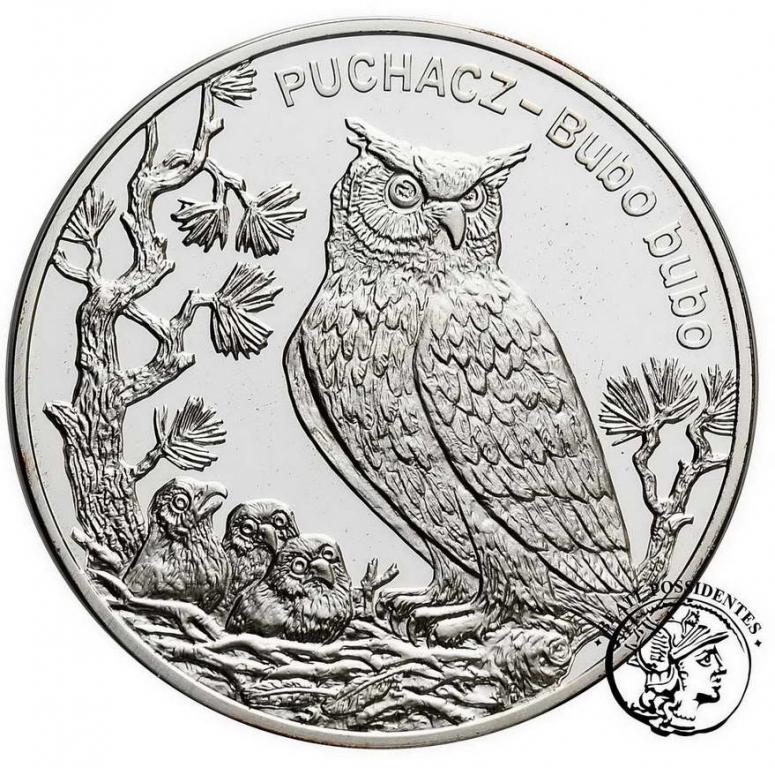 III RP 20 złotych 2005 Puchacz st.L