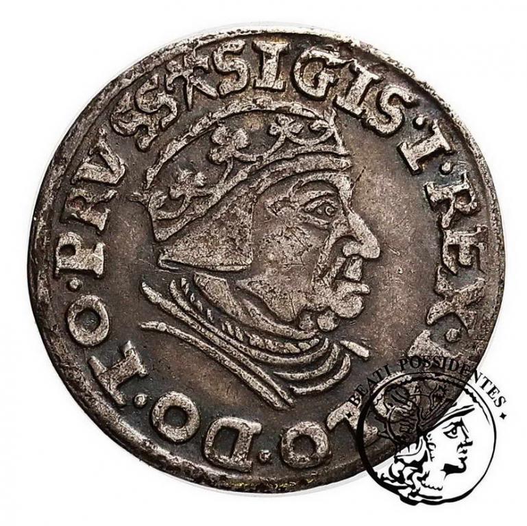 Zygmunt I Stary trojak 1539 Gdańsk st. 3+