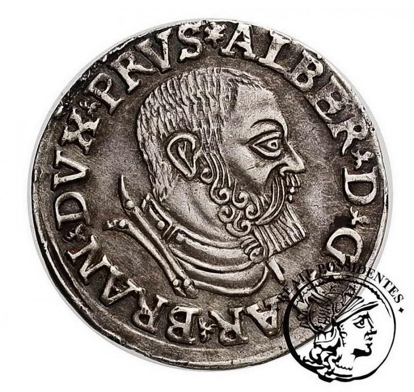 Polska Prusy Lenne trojak 1537 st. 2-