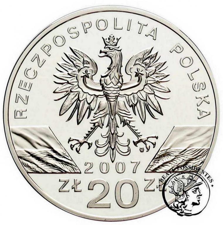Polska III RP 20 złotych 2007 Foka szara st.L