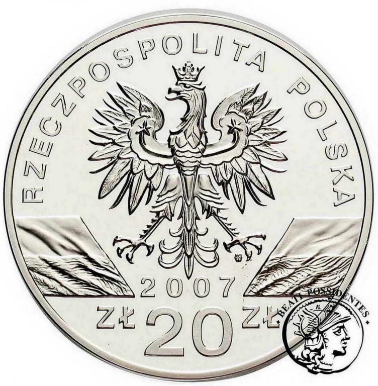 Polska III RP 20 złotych 2007 Foka szara st.L