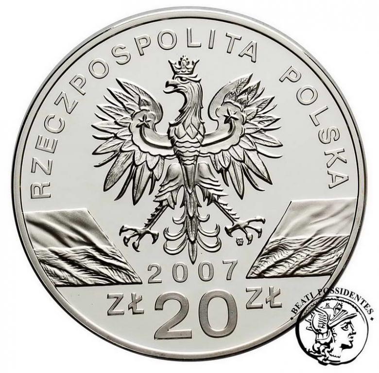 Polska III RP 20 złotych 2007 Foka szara st. L