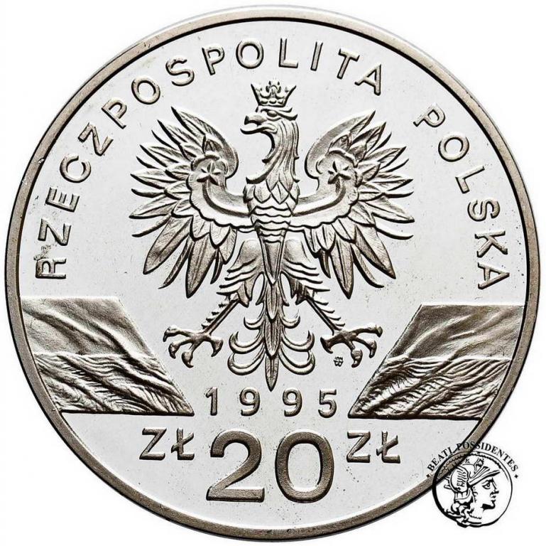 Polska III RP 20 złotych 1995 Sum st.L-