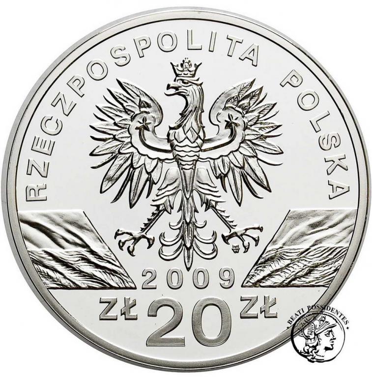 Polska III RP 20 złotych 2009 Jaszczurka st.L