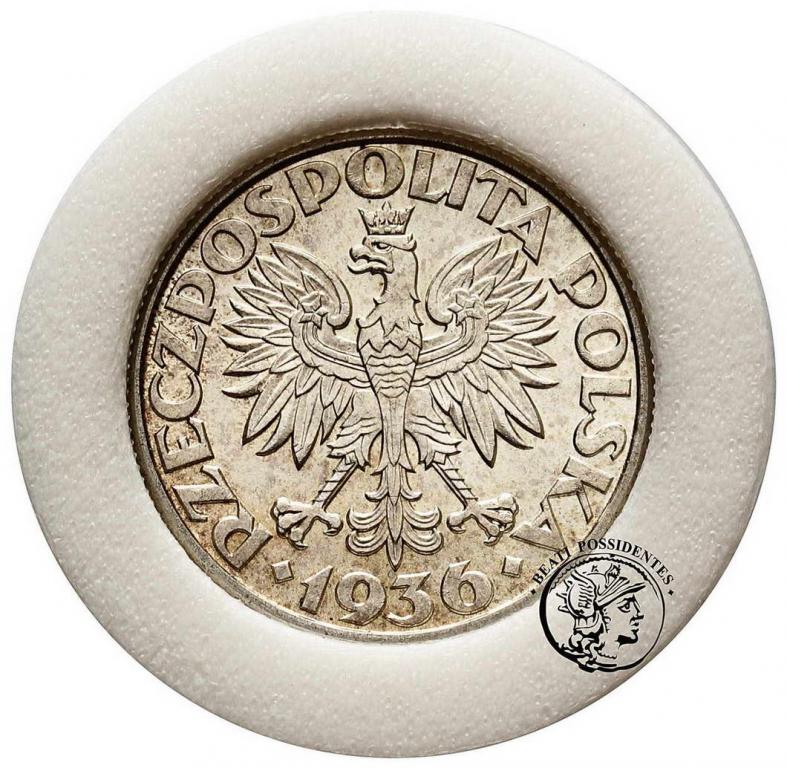 Polska II RP 2 złote 1936 Żaglowiec st.1