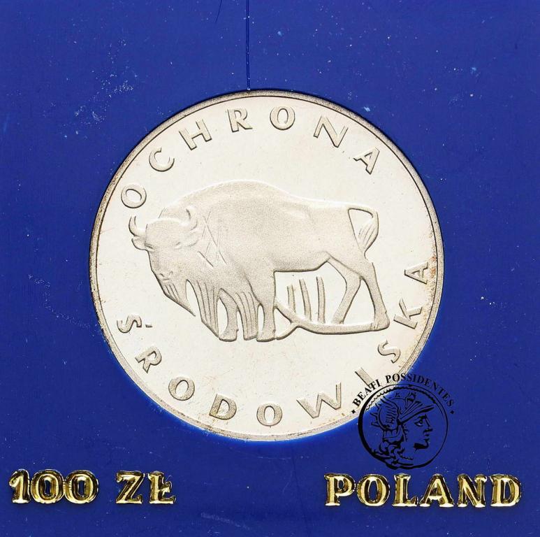 Polska PRL 100 złotych 1977 Żubr st. L