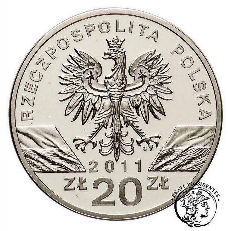 Polska III RP 20 złotych 2011 Borsuk  st. L