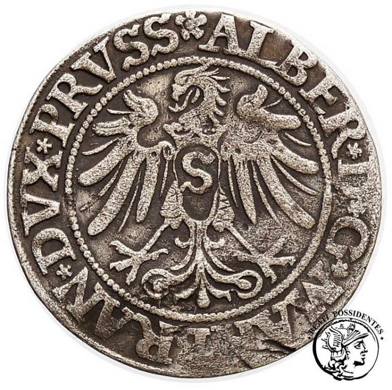 Polska Albrecht grosz lenny pruski 1534 st.4