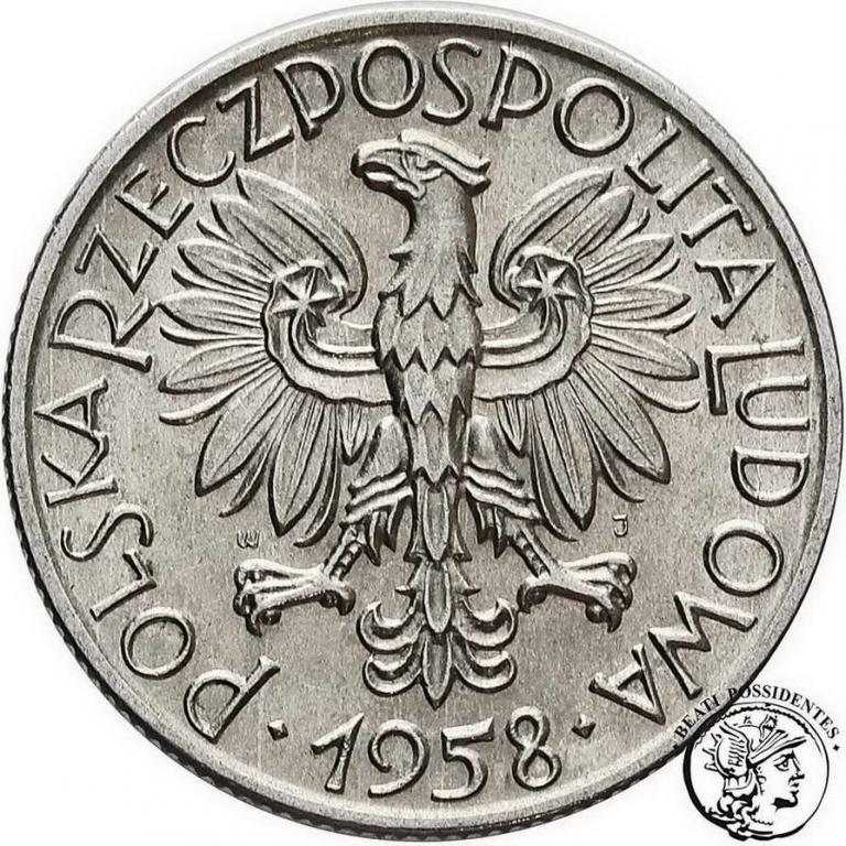 PRL 5 złotych 1958 (cienka ósemka) Rybak st. 2-