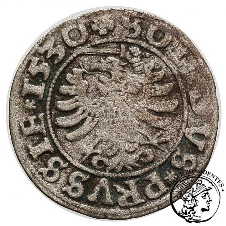 Polska Zygmunt I Stary szeląg pruski 1530 st.4