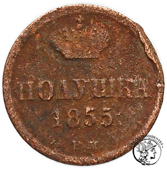 Polska Alexander II 1/4 Kopiejki 1855 BM st.4