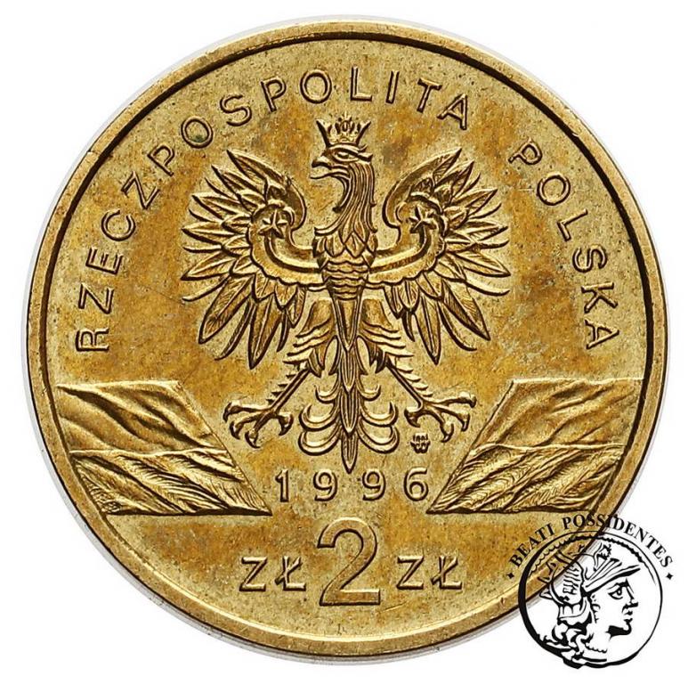 Polska III RP 2 złote 1996 Jeż st.1-