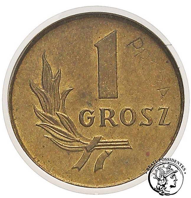 Polska PRL PRÓBA Mosiądz 1 grosz 1949 GCN MS62