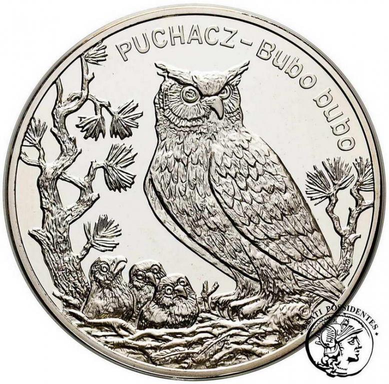 Polska III RP 20 złotych 2005 Puchacz st. L