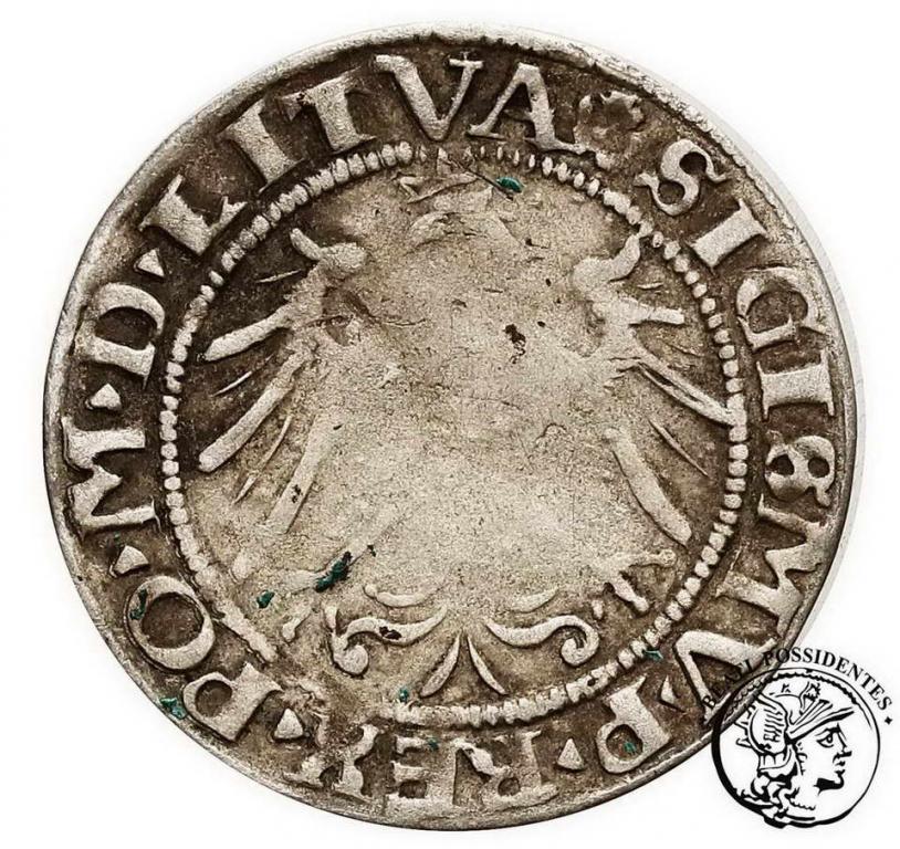 Polska Zygmunt I Stary grosz lit 1536 st.3-