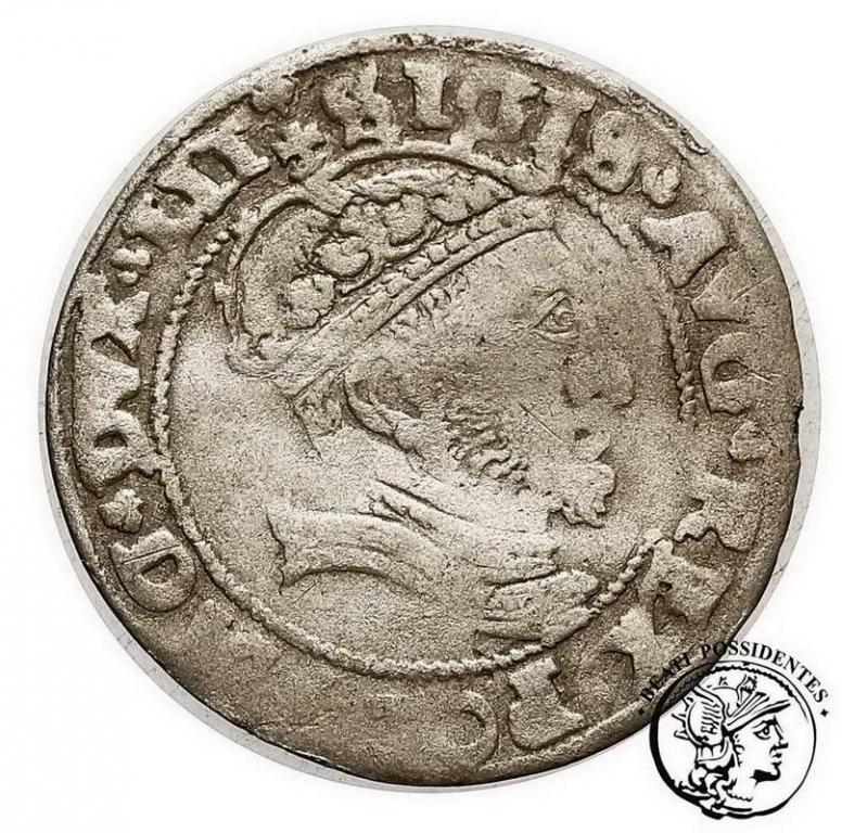 Polska Zygmunt II August grosz lit 1546 st.3-