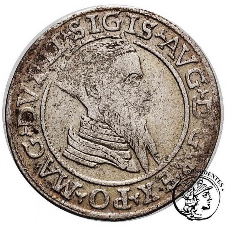 Zygmunt II August czworak lit 1568 st. 3+