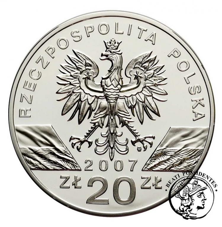 Polska III RP 20 złotych 2007 Foka szara st. L