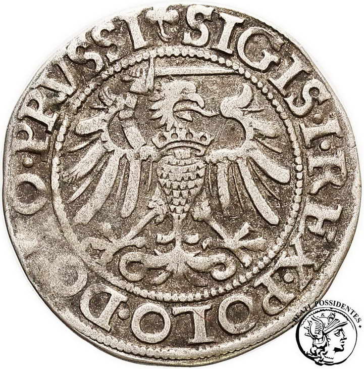 Polska Zygmunt I Stary grosz 1540 Elbląg st. 3