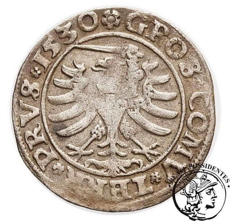 Polska Zygmunt I Stary grosz pruski 1530 st.3