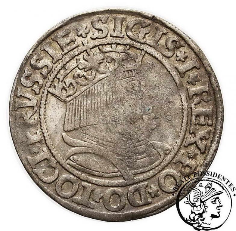 Polska Zygmunt I Stary grosz pruski 1534 st.3