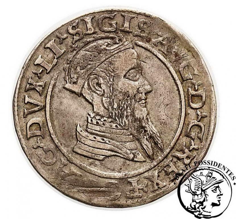 Polska Zygmunt II August czworak lit 1568 st.3