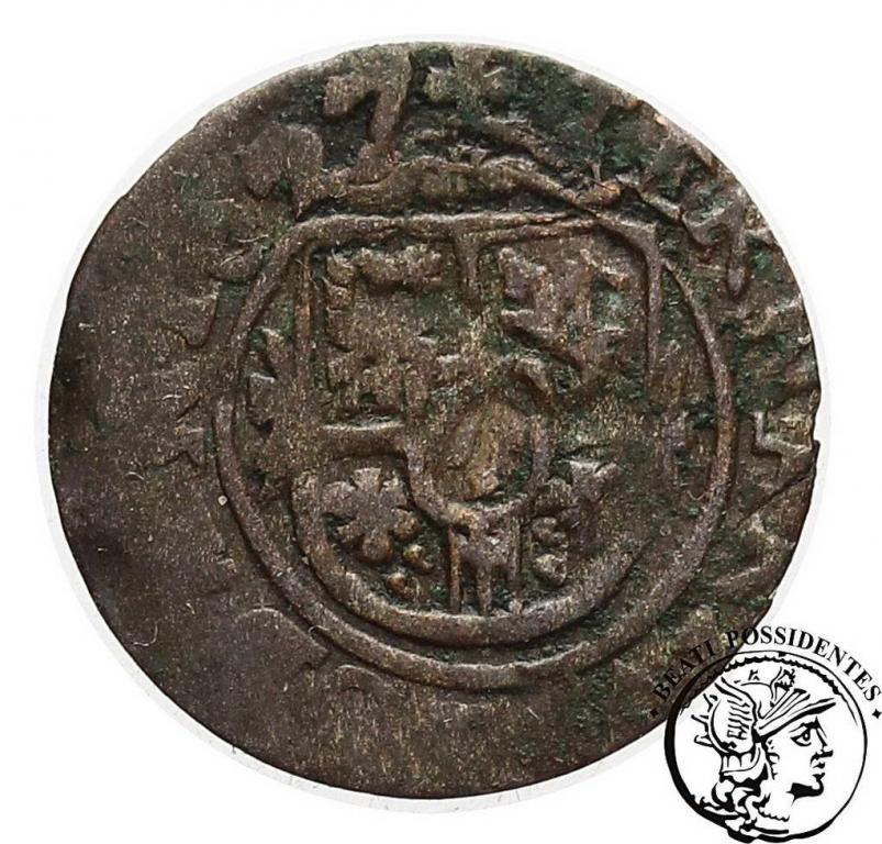 Zygmunt III Waza trzeciak 1627 Łobżenica st. 4
