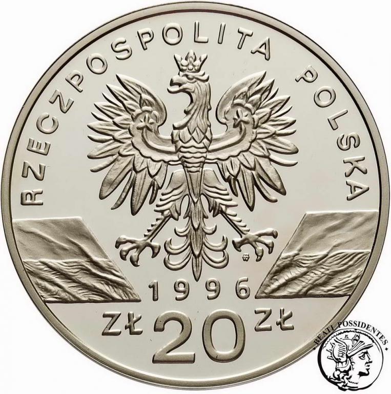 Polska III RP 20 złotych 1996 Jeż st.L