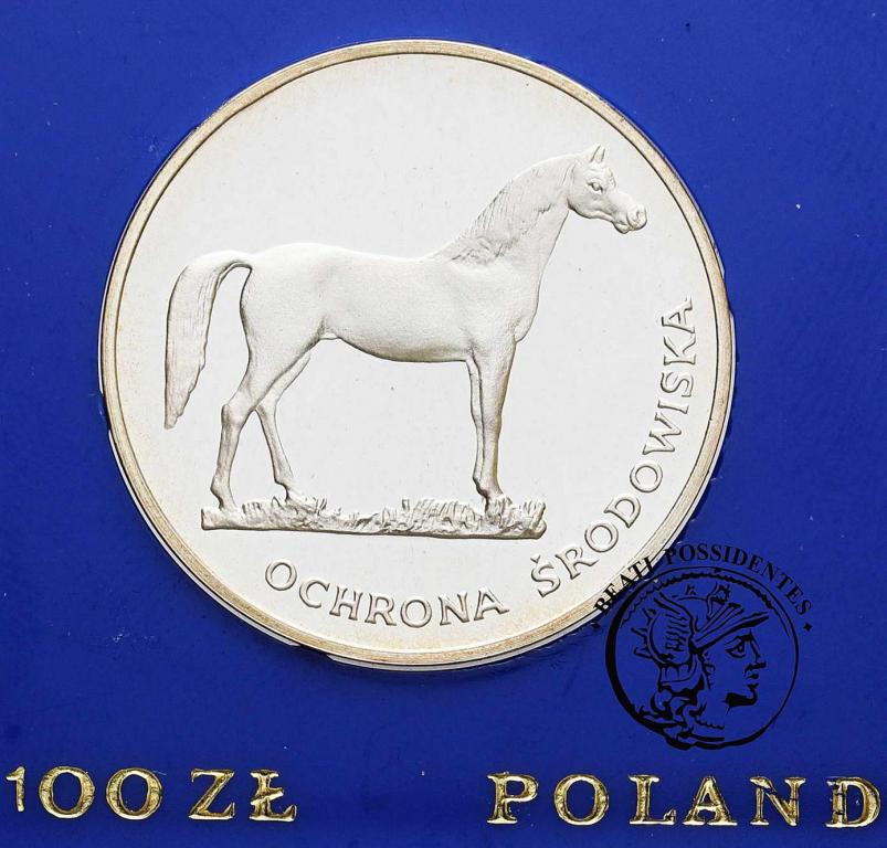 Polska 100 złotych 1981 Koń st. L-/L