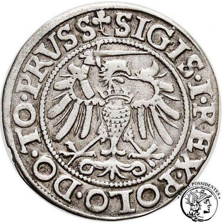 Polska Zygmunt I Stary grosz 1540 Elbląg st. 3