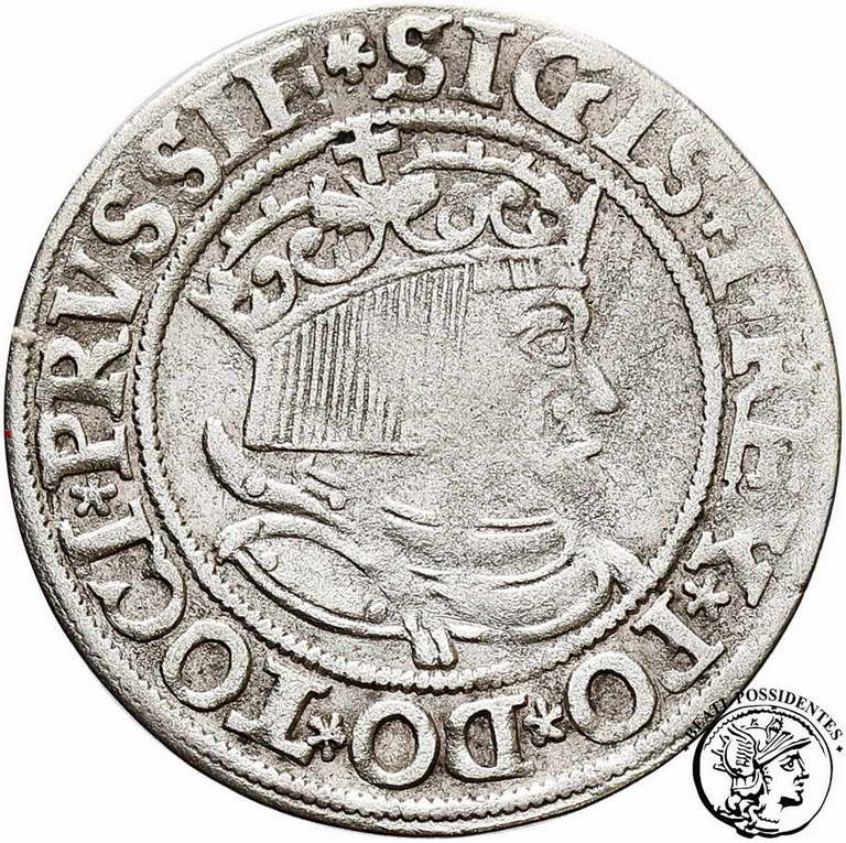 Zygmunt I Stary grosz pruski 1534 Toruń st. 3-