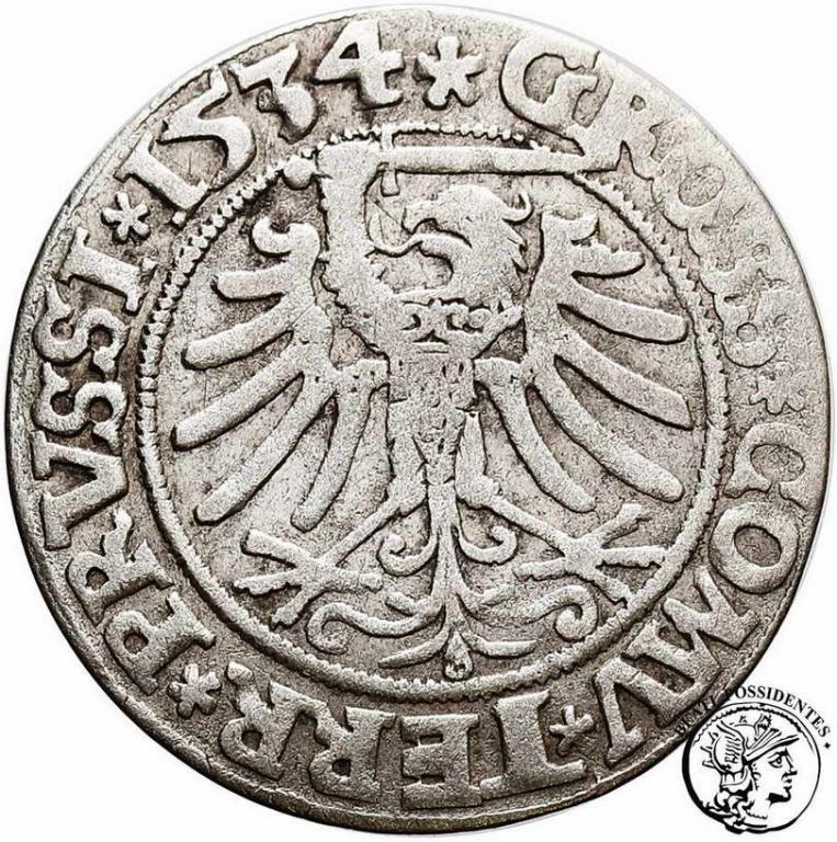Zygmunt I Stary grosz pruski 1534 Toruń st. 3-
