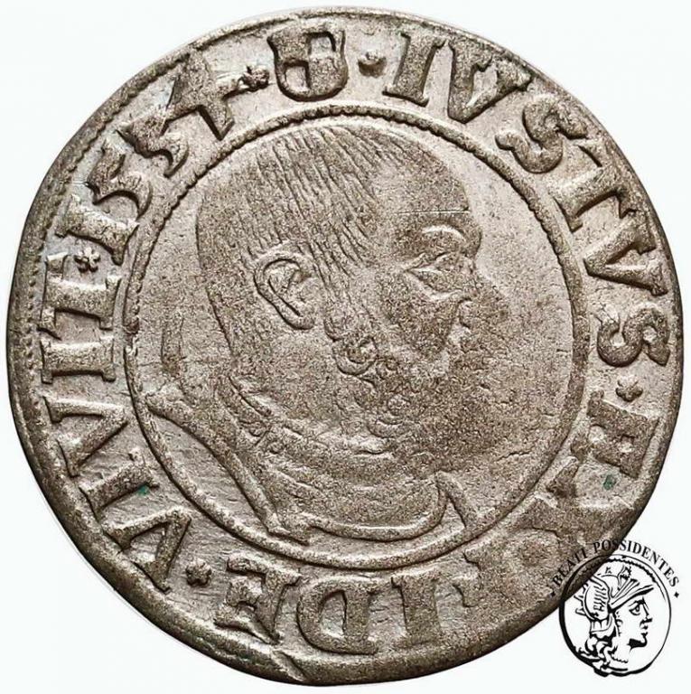 Niemcy Prusy Albrecht grosz pruski 1554 st. 3