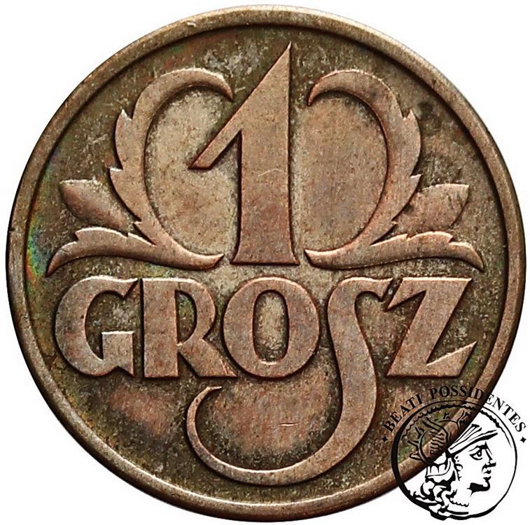 Polska II RP 1 grosz 1937 st. 1