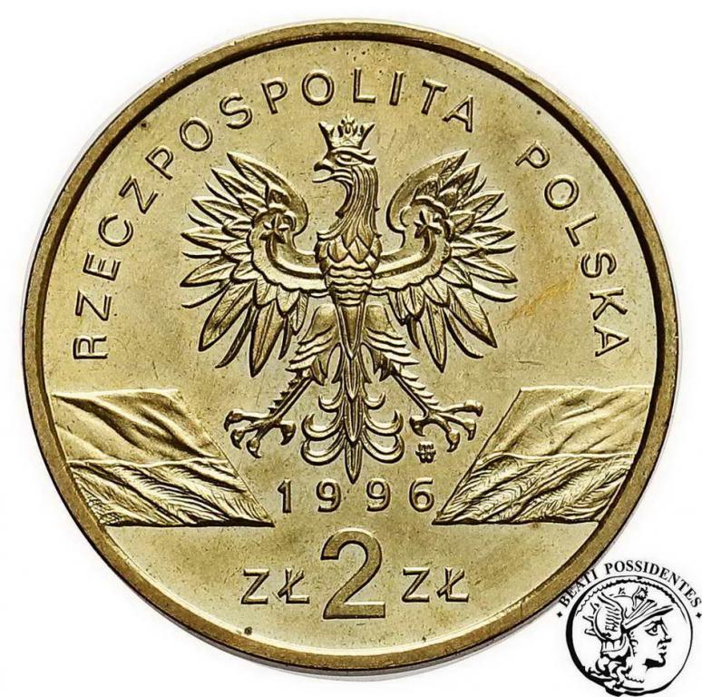 Polska 2 zł 1996 Jeż st. 1-