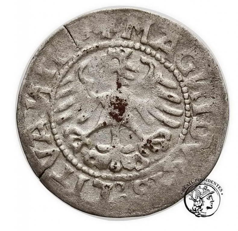 Polska Zygmunt I Stary półgrosz 1518 st. 3-