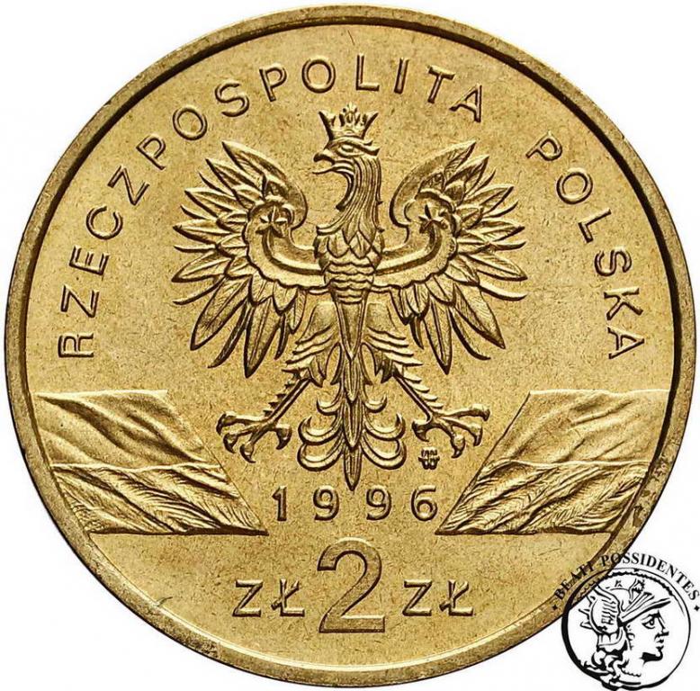 Polska III RP 2 złote 1996 Jeż st. 1-