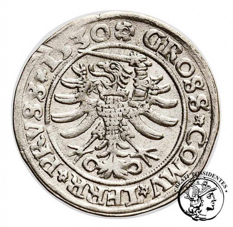 Zygmunt I Stary grosz pruski 1530 Toruń st. 3+