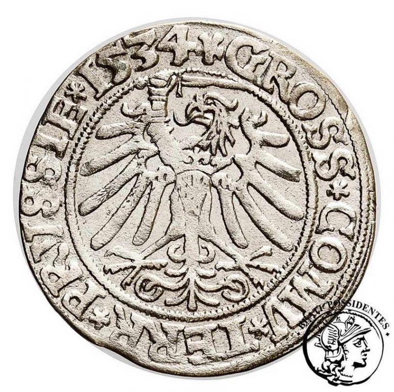 Zygmunt I Stary grosz pruski 1534 Toruń st. 3