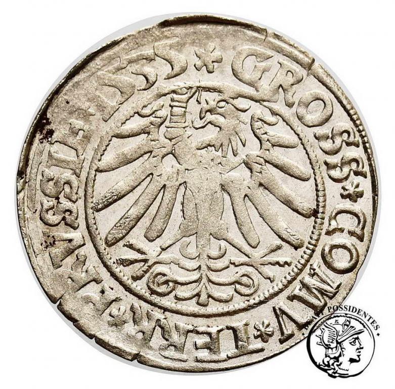 Zygmunt I Stary grosz pruski 1535 Toruń st. 3