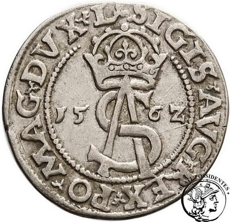 Polska Zygmunt II August 1562 trojak Wilno st. 3