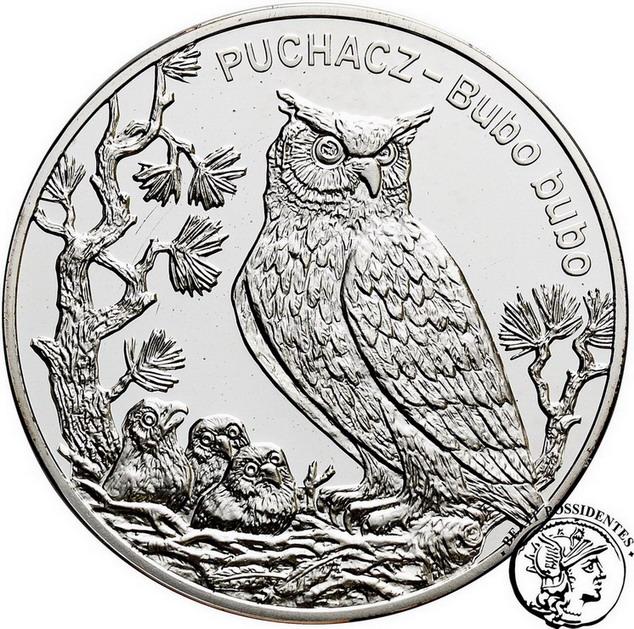 Polska III RP 20 złotych 2005 Puchacz st.L