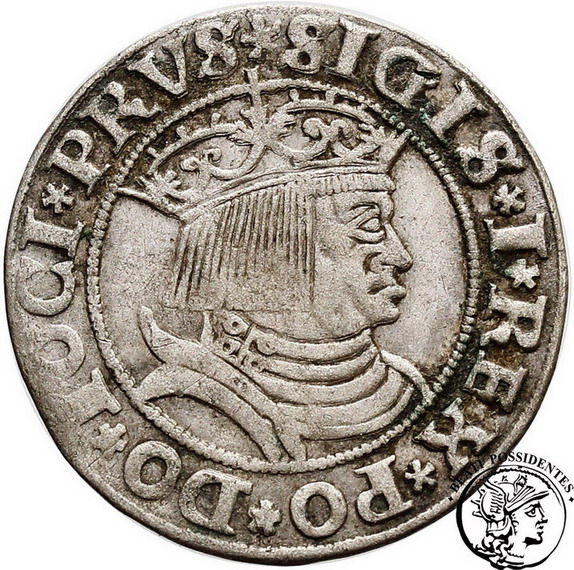 Polska Zygmunt I Stary grosz pruski 1531 st. 3